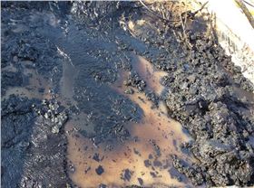 羅德轉(zhuǎn)子泵傳輸含顆粒無介質(zhì) 羅德轉(zhuǎn)子泵傳輸含顆粒無介質(zhì)