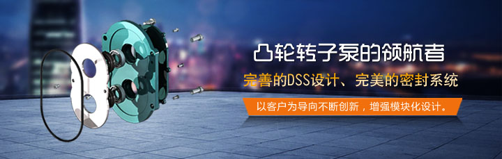 羅德品牌轉子泵 羅德品牌轉子泵